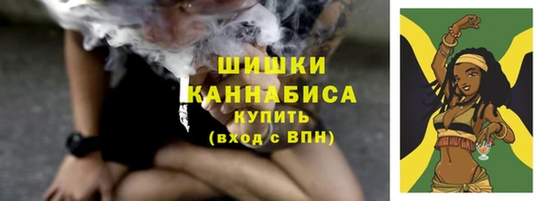 2c-b Рославль